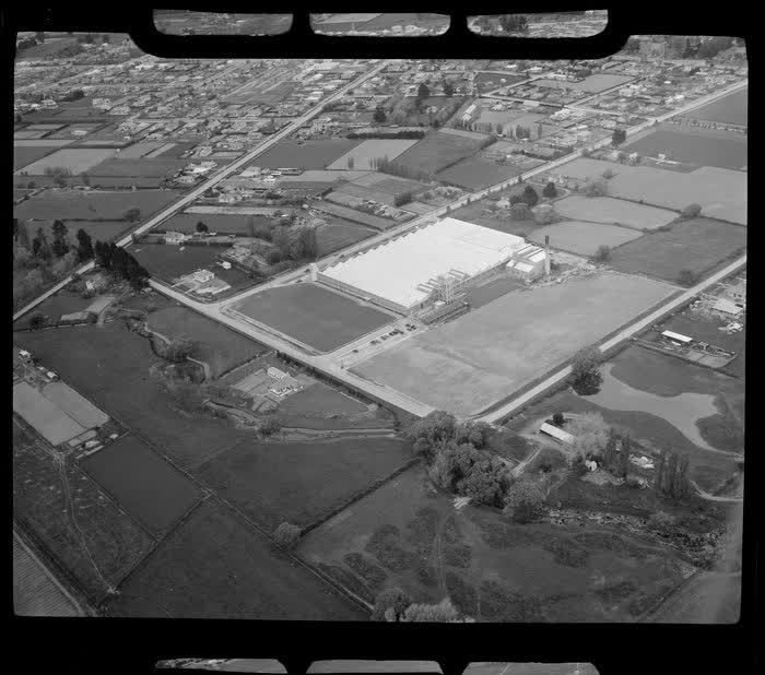 Unidentified carpet manufacturing plant, Christchurch, 1950