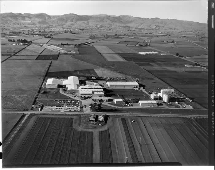 J Watties Canneries Ltd, Christchurch, 1974
