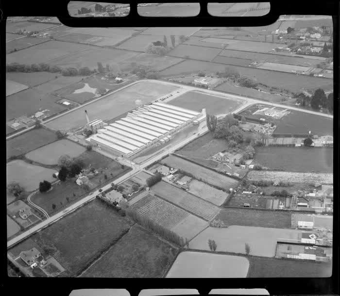 Unidentified carpet manufacturing plant, Christchurch, 1950