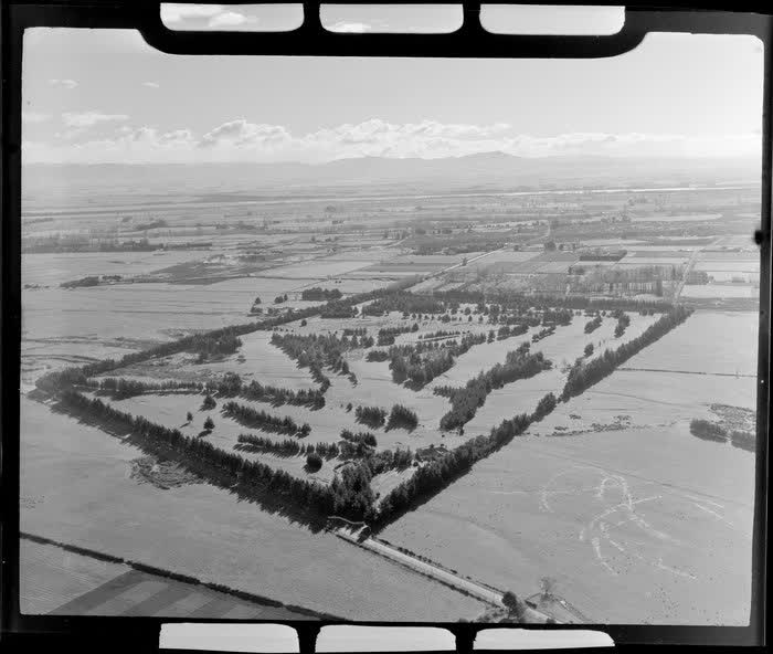 Shirley Golf Links, Christchurch, Canterbury Region, 1951