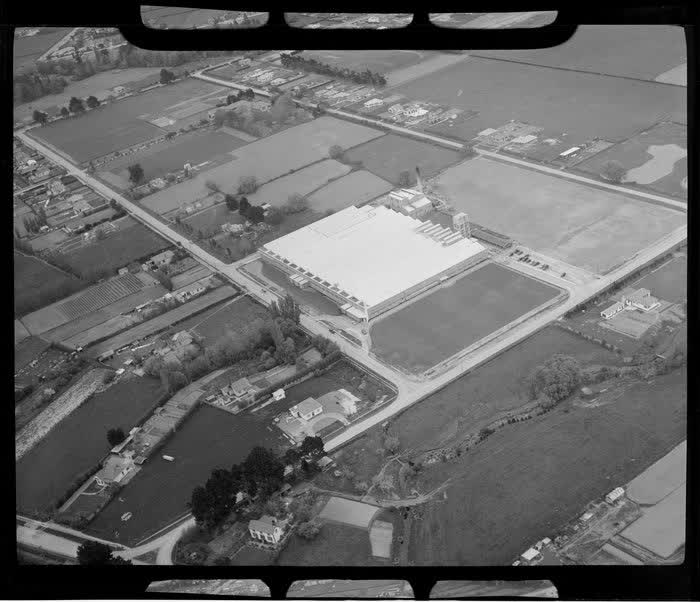 Unidentified carpet manufacturing plant, Christchurch, 1950