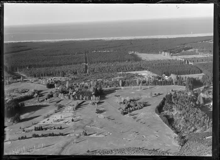 New Brighton Golf Course and pine plantation, Christchurch, 1950