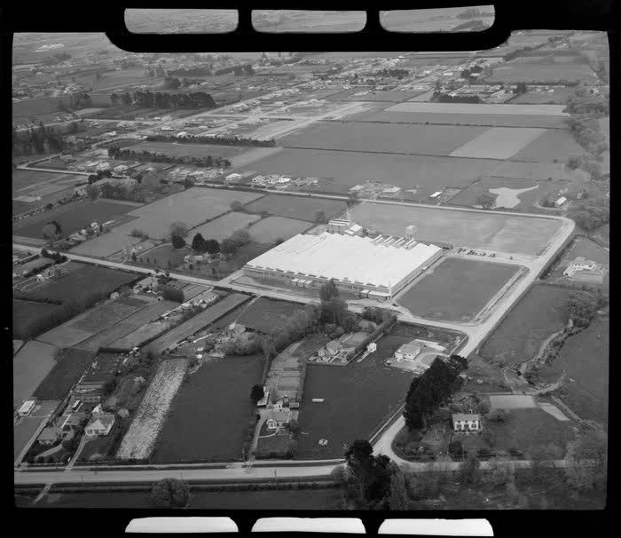 Unidentified carpet manufacturing plant, Christchurch, 1950
