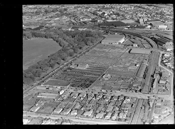 Addington Sale Yards, Christchurch, 1950
