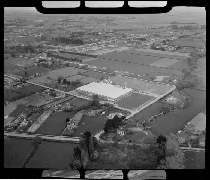 Unidentified carpet manufacturing plant, Christchurch, 1950