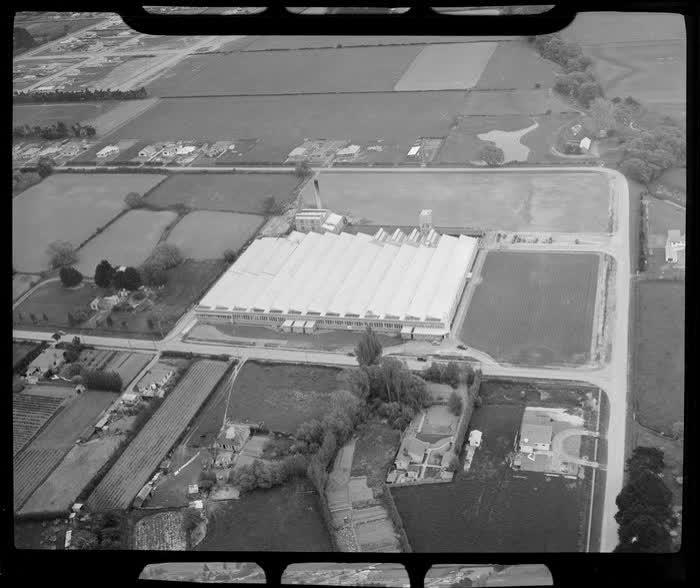 Unidentified carpet manufacturing plant, Christchurch, 1950