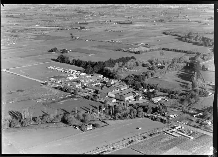 Belfast Freezing Works, Belfast, Christchurch, 1950