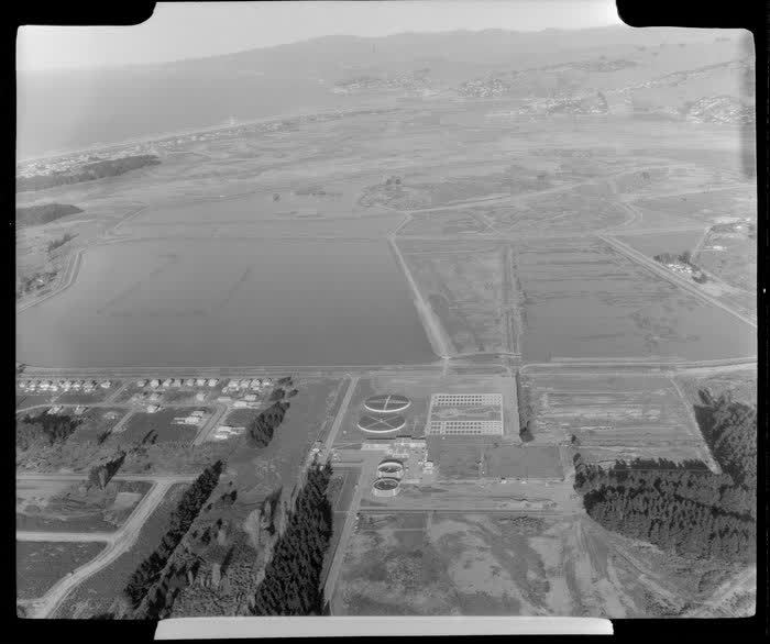 Bromley sewage farm, Christchurch, 1962