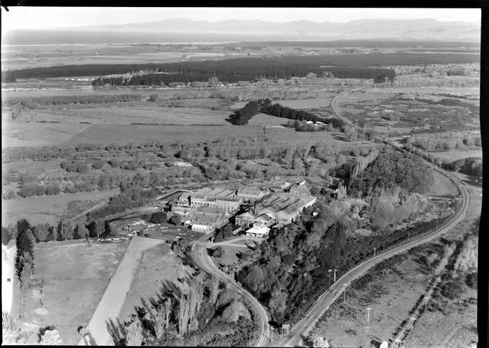 Freezing works, Kaiapoi, Christchurch, 1950