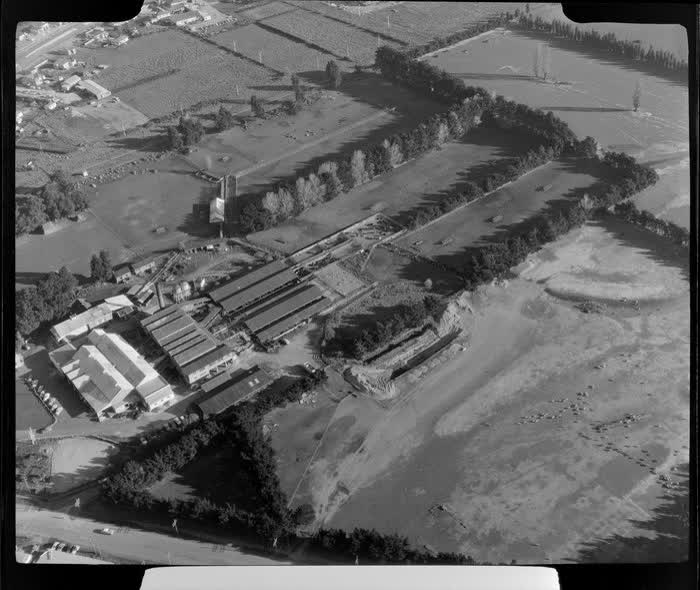 Abattoir, Sockburn, Christchurch City, 1962