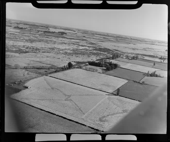 Canterbury Plains, near Harewood, Christchurch, 1953