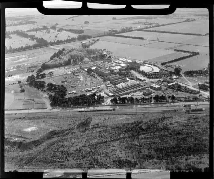 Meat Works, Hornby, Christchurch, 1955