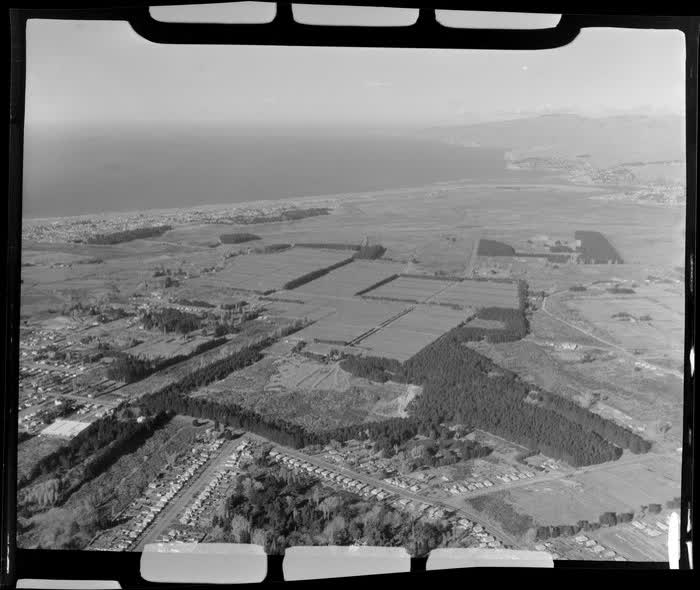 Sewage Farm, New Brighton, Christchurch, 1955