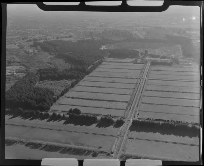 Farm scene, New Brighton, Christchurch, 1955