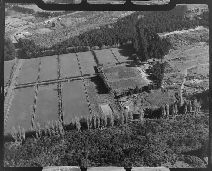 Farm scene, New Brighton, Christchurch, 1955