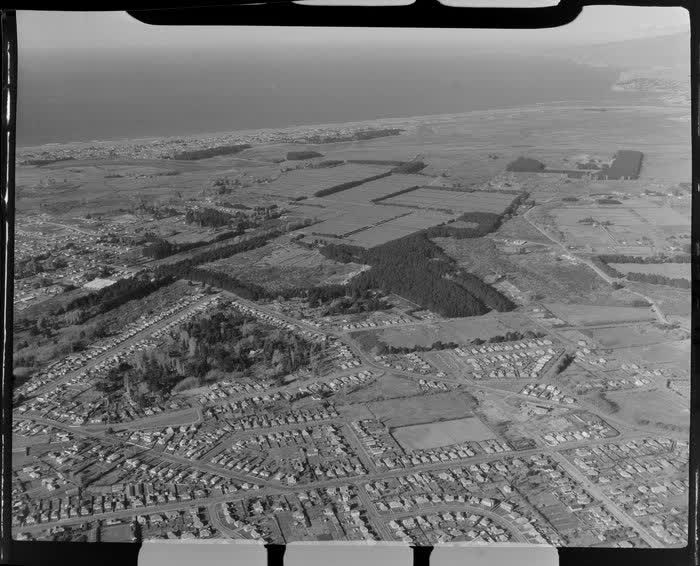 Sewage Farm, New Brighton, Christchurch, 1955