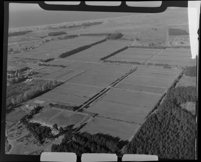 Farm scene, New Brighton, Christchurch, 1955