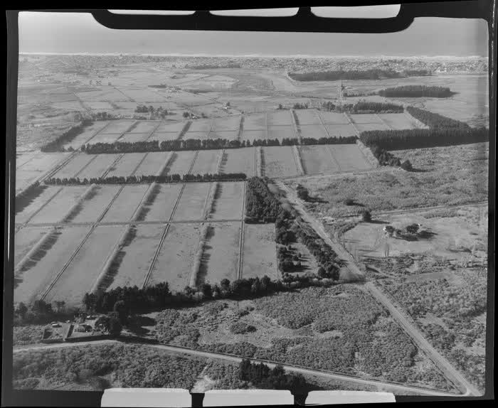 Farm scene, New Brighton, Christchurch, 1955