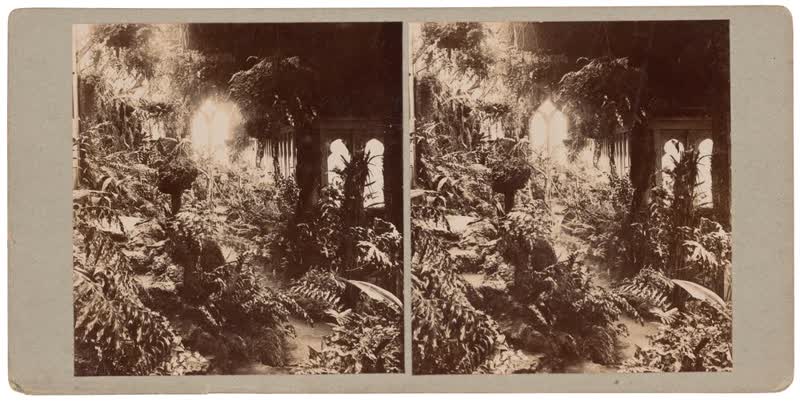 'Wainoni', interior - home and Pleasure Gardens at Tahuna Park built by Professor Bickerton, Christchurch, 1890