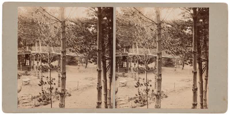 Amphitheatre at 'Wainoni' - home and Pleasure Gardens at Tahuna Park built by Professor Bickerton, Christchurch, 1890