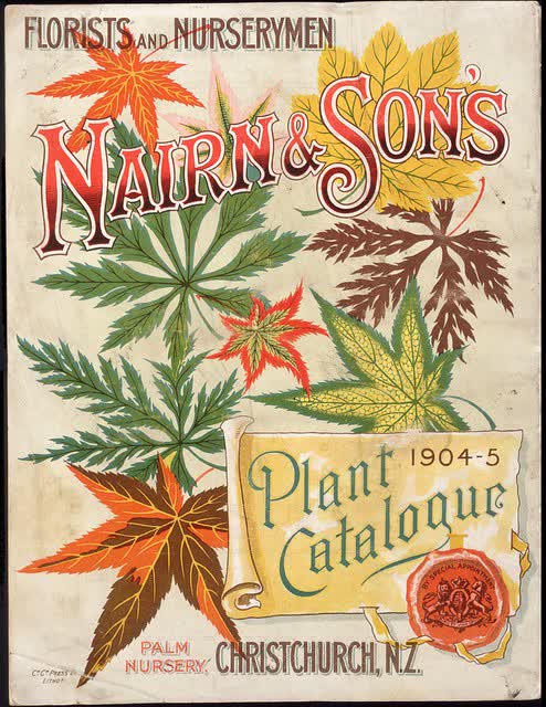 A Christchurch nursery, 1904, 1904