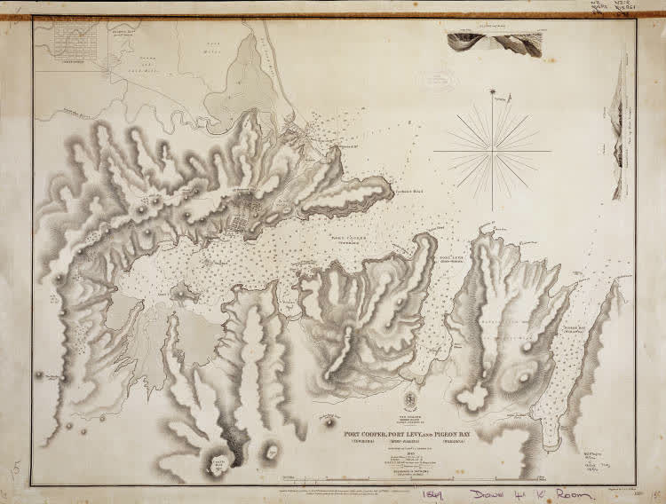 Port Cooper (Tewhaka), Port Levy (Koko-rarata), and Pigeon Bay (Wakaroa) surveyed by Captn. J. L. Stokes, R.N., 1856