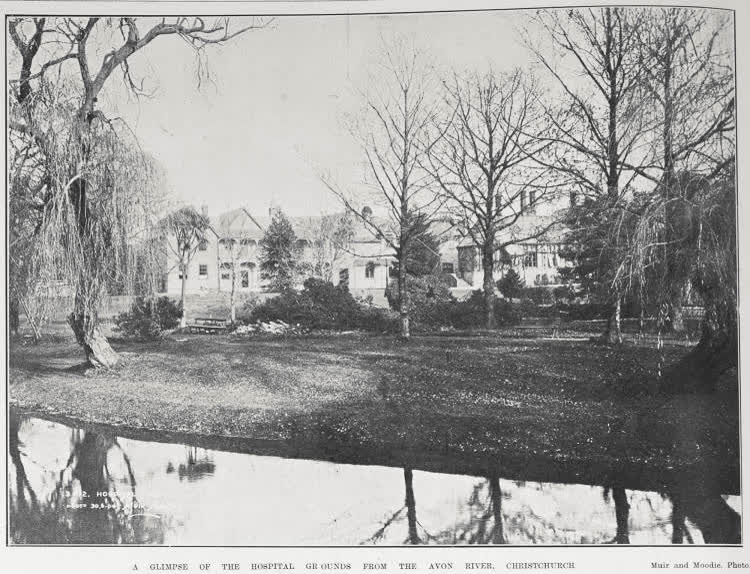 A GLIMPSE OF THE HOSPITAL GROUNDS FROM THE AVON RIVER, CHRISTCHURCH, 1904