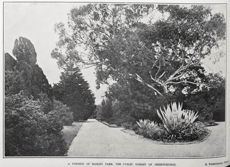 A PORTION OF HAGLEY PARK, THE PUBLIC DOMAIN OF CHRISTCHURCH, 1905