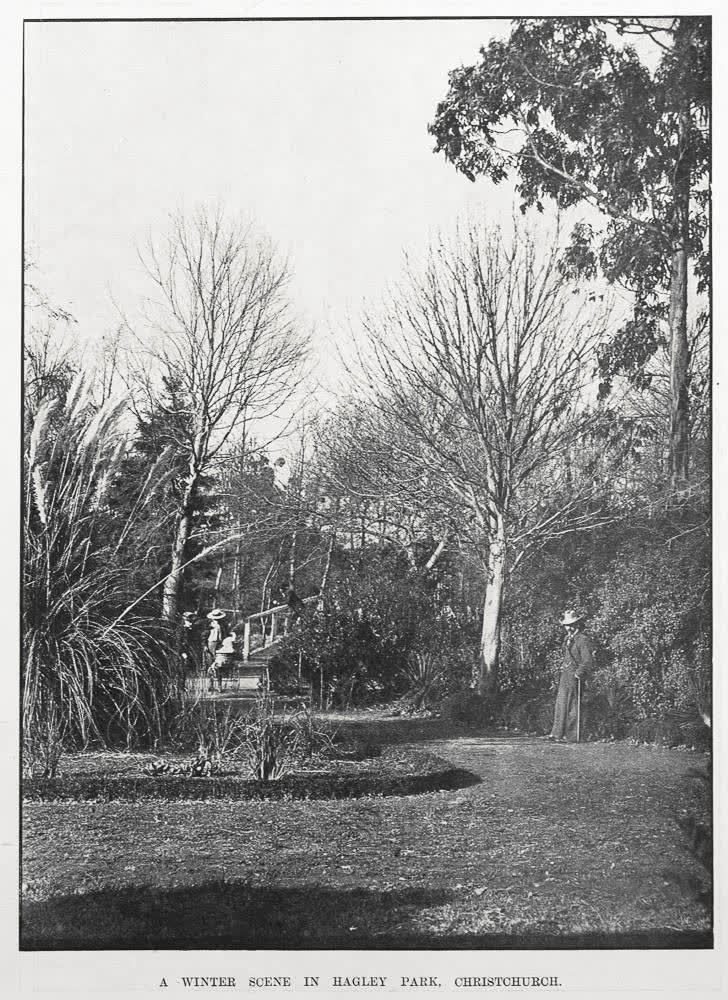 A WINTER SCENE IN HAGLEY PARK, CHRISTCHURCH, 1905