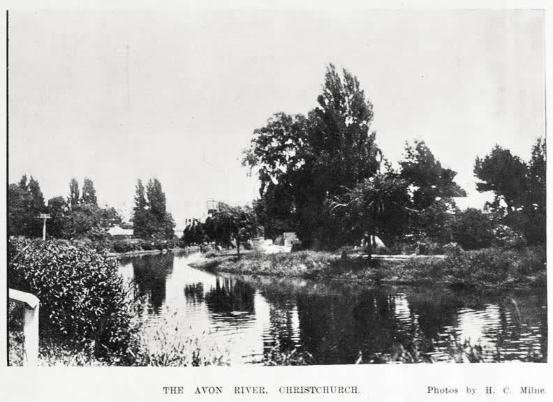 THE AVON RIVER, CHRISTCHURCH, 1905