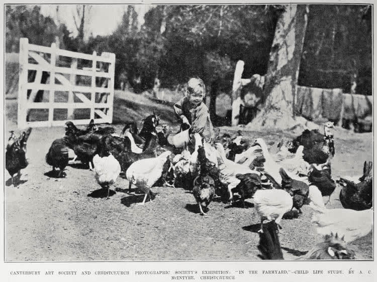 CANTERBURY ART SOCIETY AND CHRISTCHURCH PHOTOGRAPHIC SOCIETY'S EXHIBITION: 'IN THE FARMYARD,'-CHILD LIFE STUDY.BY A. C. MCINTYRE, CHRISTCHURCH, 1905