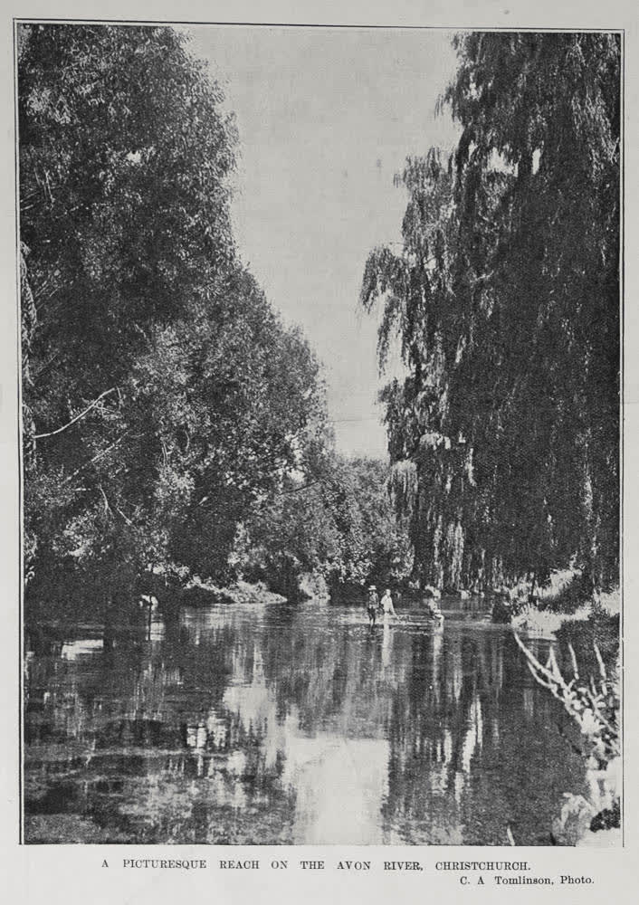 A PICTURESQUE REACH ON THE AVON RIVER, CHRISTCHURCH, 1906