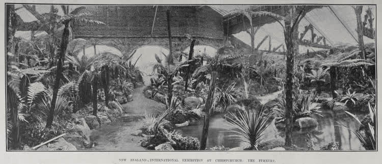 NEW ZEALAND'S INTERNATIONAL EXHIBITION AT CHRISTCHURCH: THE FERNERY, 1906