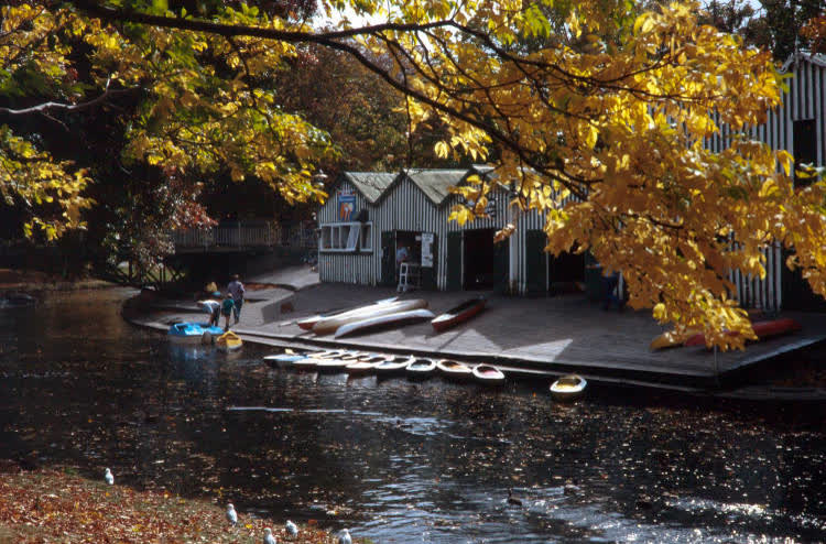 Boatsheds on the River Avon, Christchurch, 1980