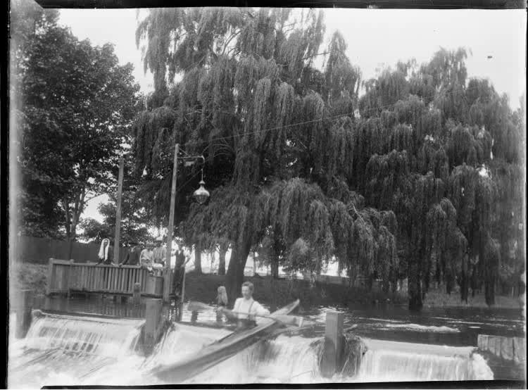 Canoeing on the Avon River, Christchurch, 1906, 1900