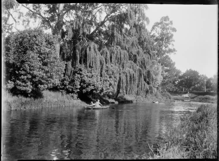 Rowing on the Avon River, Christchurch, 1906, 1900