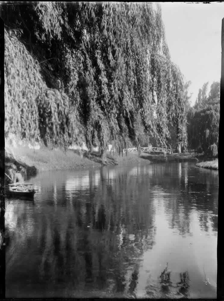 Avon River, Christchurch, 1906, 1900