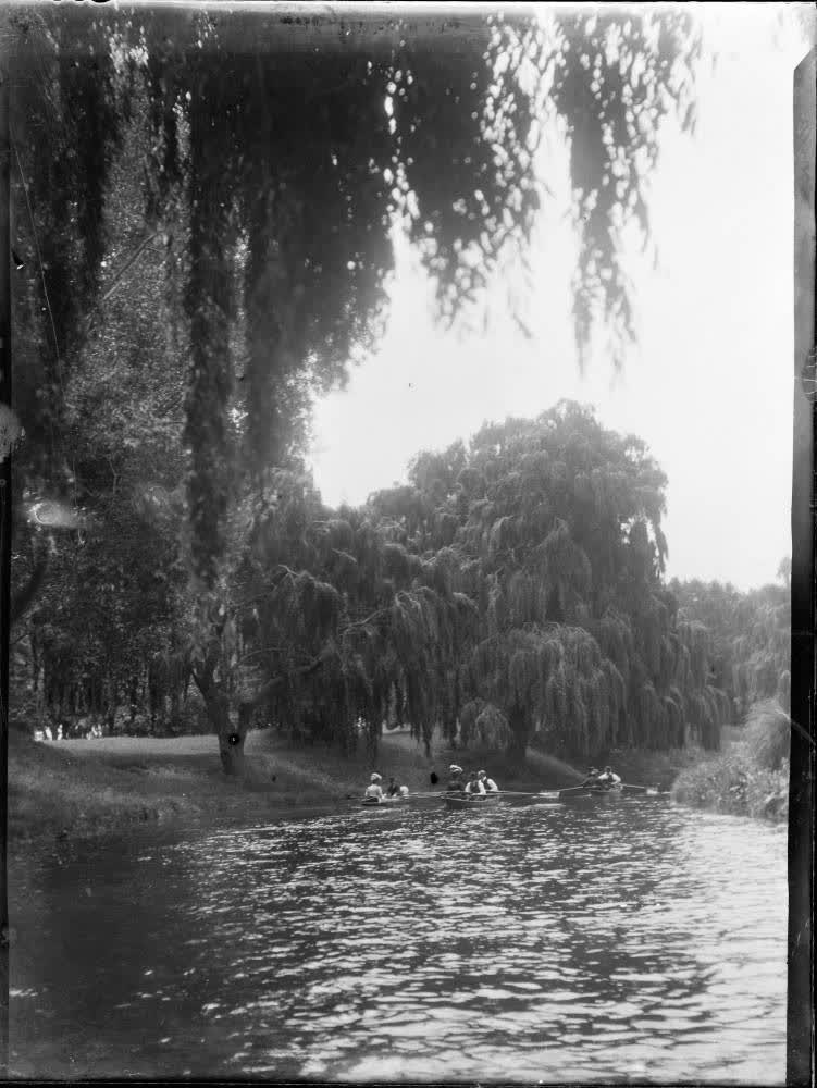 Rowing on the Avon River, Christchurch, 1906, 1900