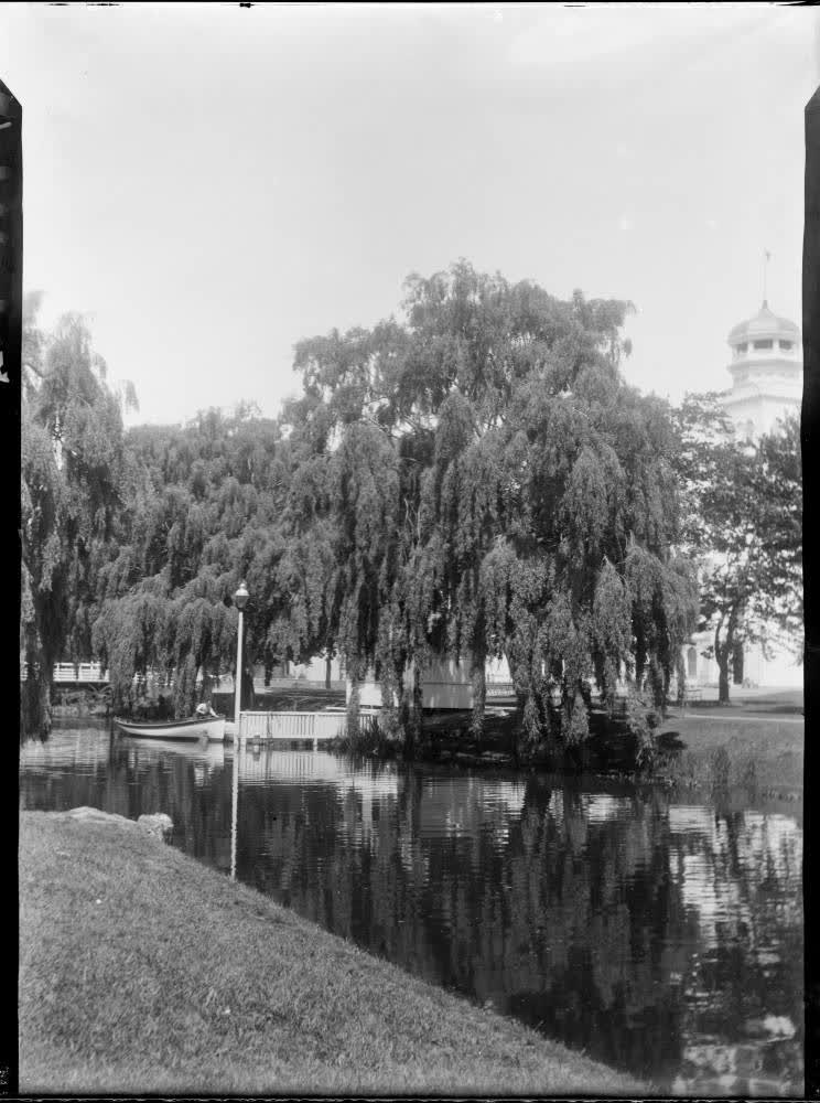 Avon River, Christchurch, 1906, 1900