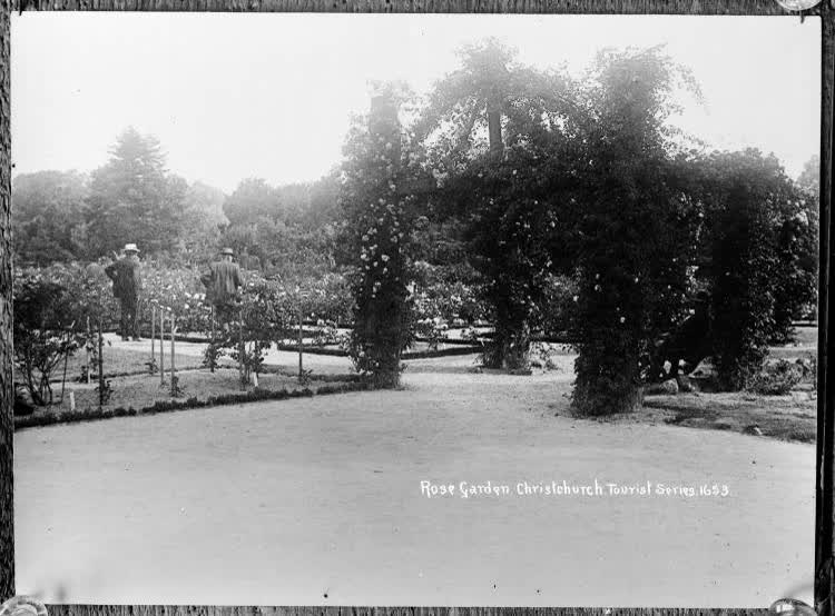 Rose Garden, Christchurch, 1910