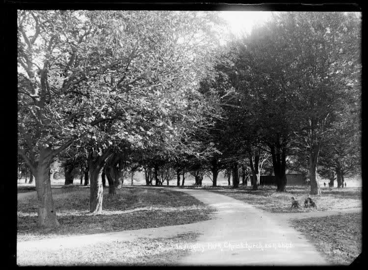 Hagley Park, Christchurch, 1910