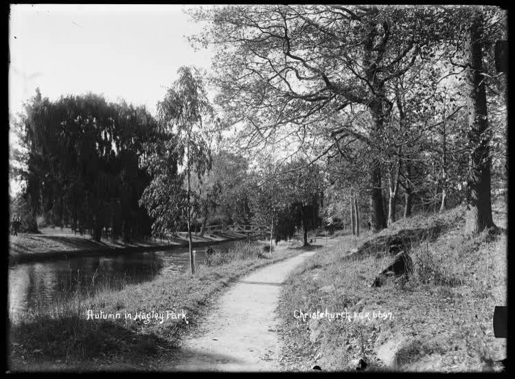 Autumn in Hagley Park, Christchurch, 1910