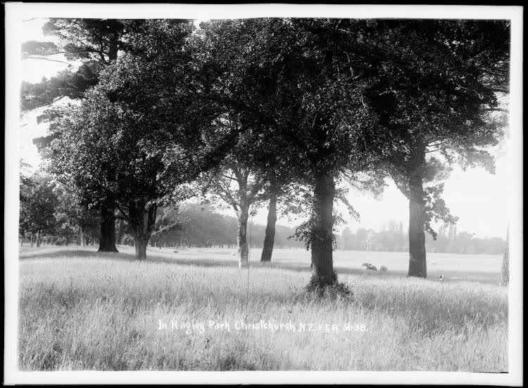 Hagley Park, Christchurch, 1910