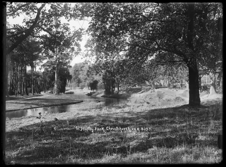 In Hagley Park, Christchurch, 1910