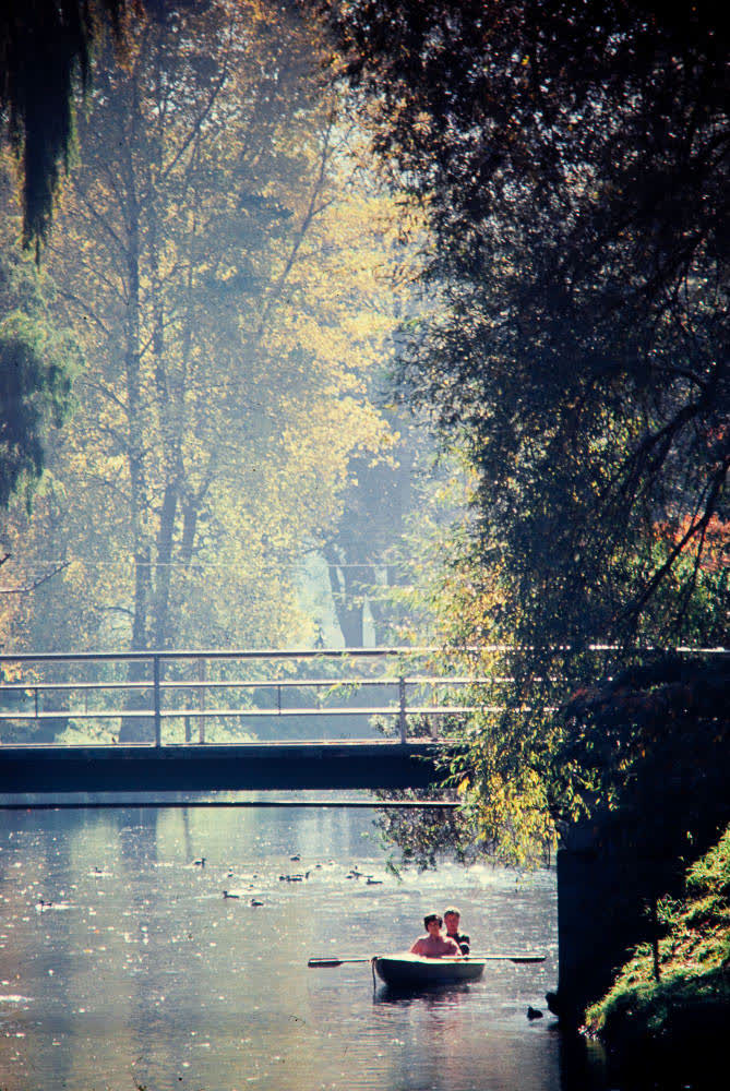 The River Avon, Christchurch, 1980