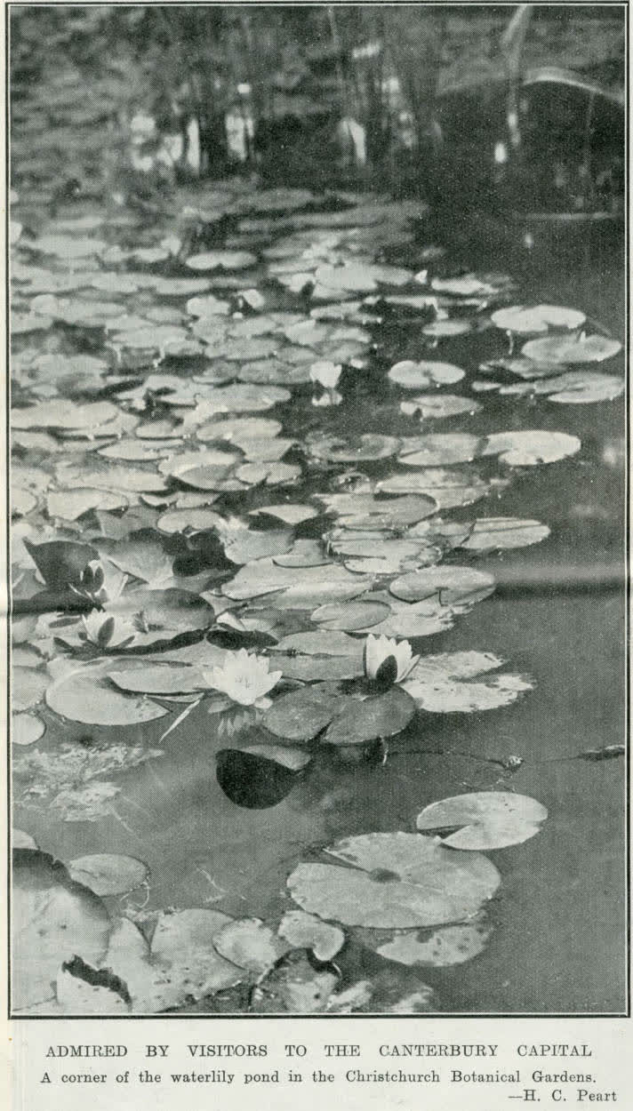 Admired by visitors to the Canterbury capital, 1935