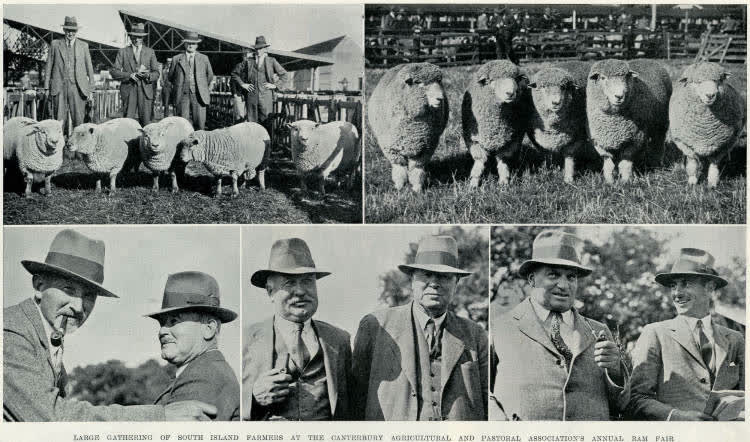 Large gathering of South Island farmers at the Canterbury Agricultural and Pastoral Association's annual ram fair, 1936