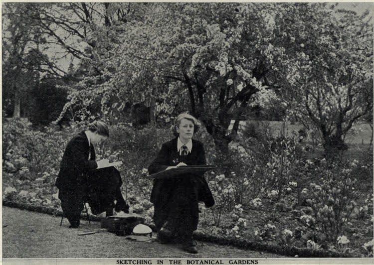 Sketching in the botanical gardens, 1936