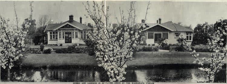 Homes and gardens in springtime dress by the Wairarapa stream, 1936