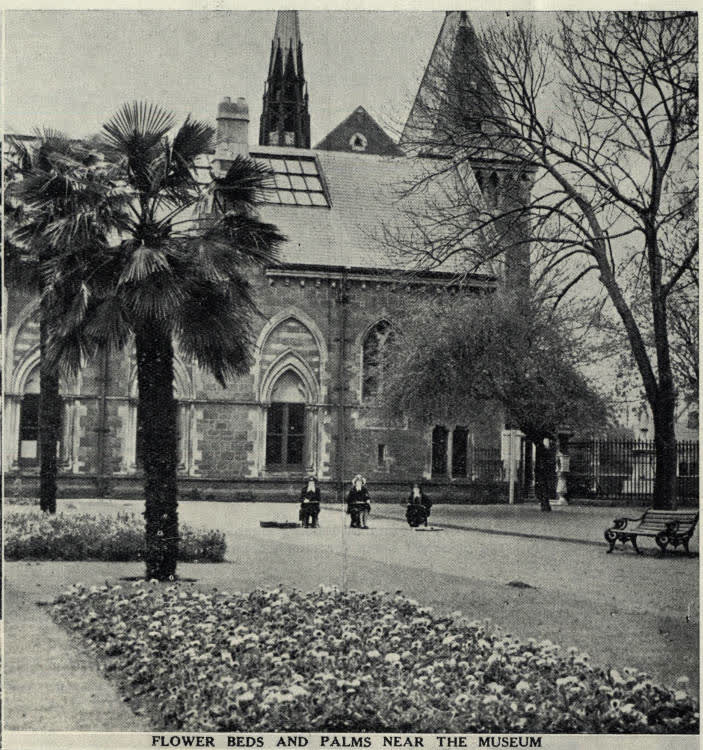 Flower beds and palms near the museum, 1936